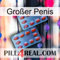 Großer Penis 05